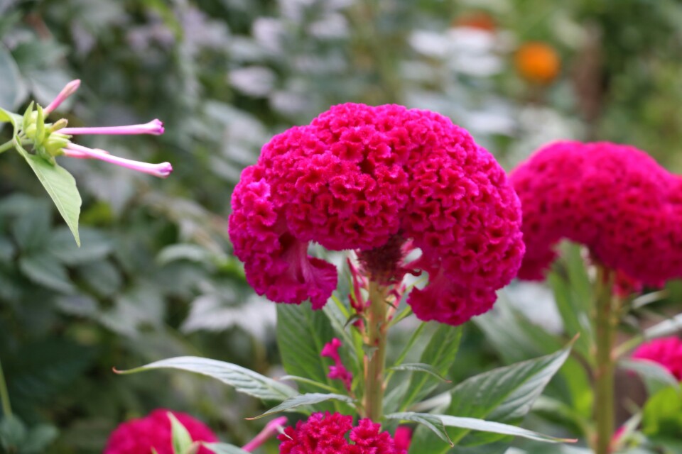 杭州青芝坞慢行街