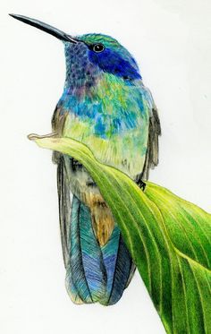 fabulous colors, looks to be colored pencil or watercolor pencils