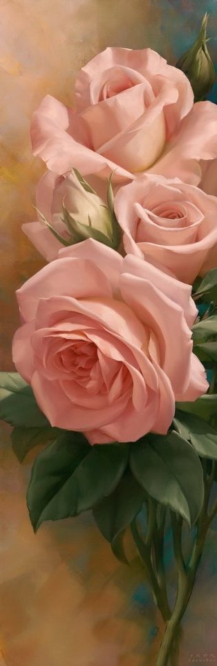 Beautiful Roses: