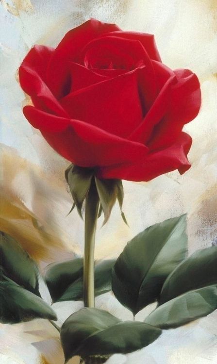 Igor Levashov born near Moscow in 1964, entered the School for Young Painters in 1997 and the world-famed Sourykoff Institute in Moscow in 1984. He finished his formal training at the Royal Academy of Modern Art in the Hague in 1996. In this age he discovered his love and passion for flowers. His detailed paintings are done in oil in a one-time-session. They were exhibited at the National State Galleries in Russia; Museum of the Hague, Holland; Private Art Gallery, Athens, Greece: