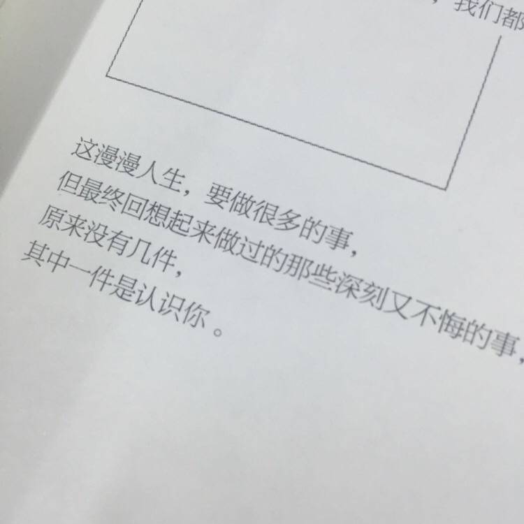 文字美文句子欣赏