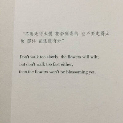 文字美文句子欣赏