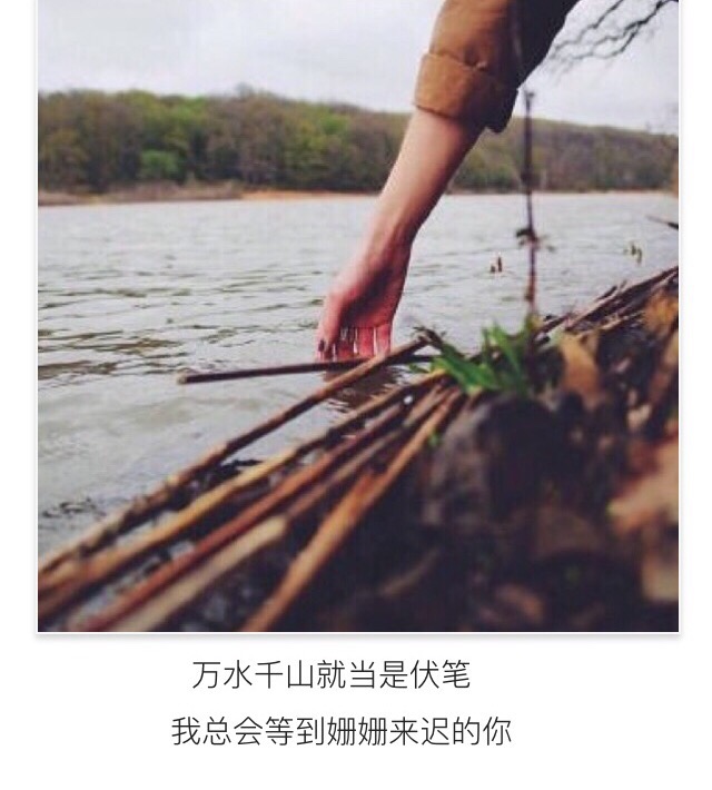 文字美文句子欣赏