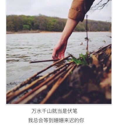 文字美文句子欣赏