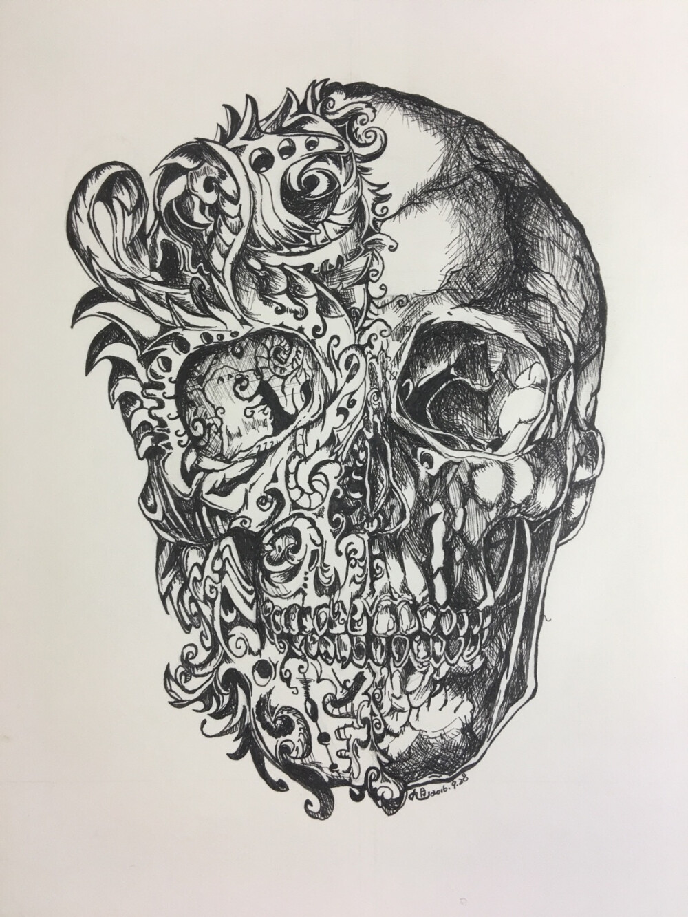骷髅 ——九月临摹