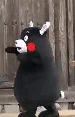 表情包 熊本熊