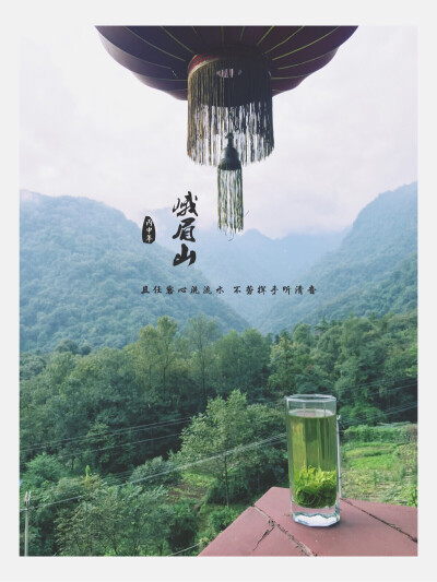 美食之都。成都。峨眉山。竹叶青。品茶赏美景。