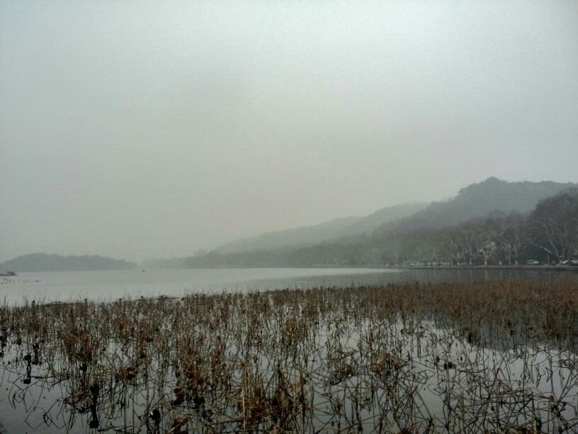 一蓑烟雨，半湖残荷。
——念2015早春与君共西湖