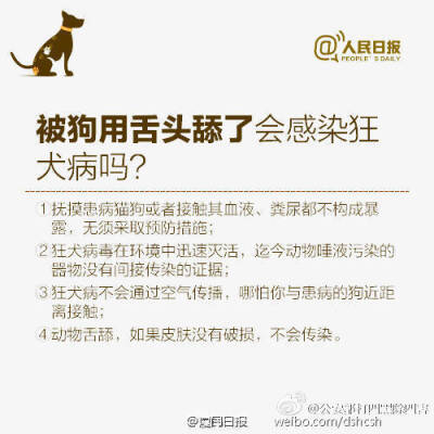 【误区：狂犬病潜伏期长达10年、20年？错的！】