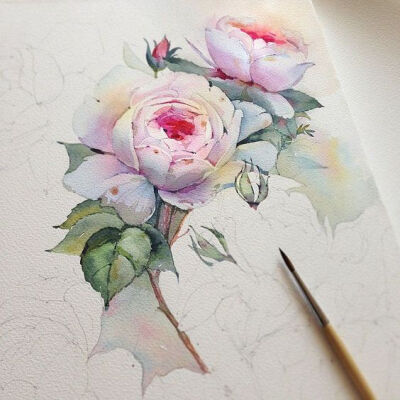 Watercolors by Katerina Pytina.jpg