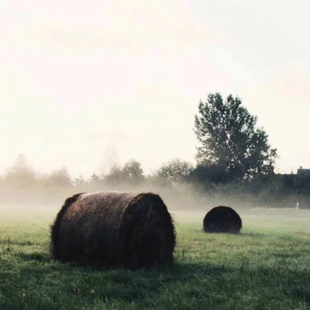 在意别人的看法很正常，但你要明白的是，不是所有的人都是人。——许灵子