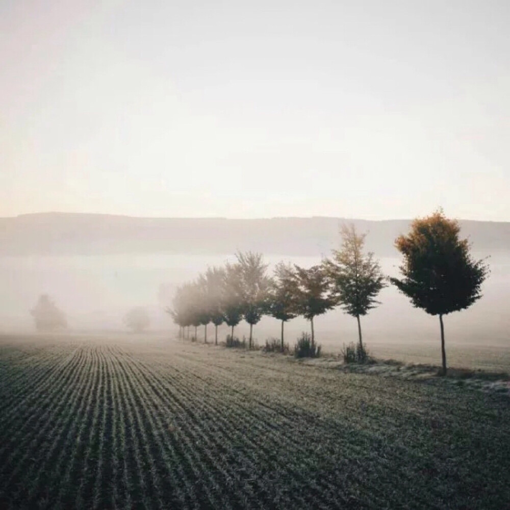 在意别人的看法很正常，但你要明白的是，不是所有的人都是人。——许灵子