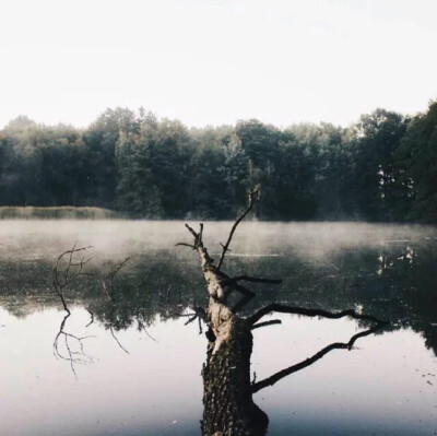 在意别人的看法很正常，但你要明白的是，不是所有的人都是人。——许灵子