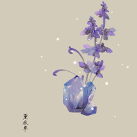 尘世间 #花卉 素笺 插画