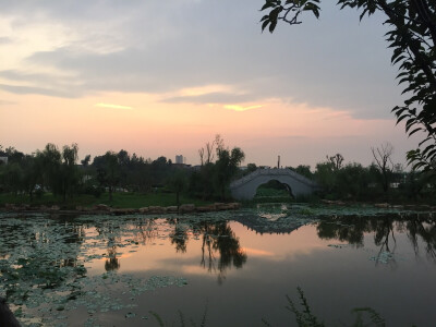 最美不过夕阳景儿