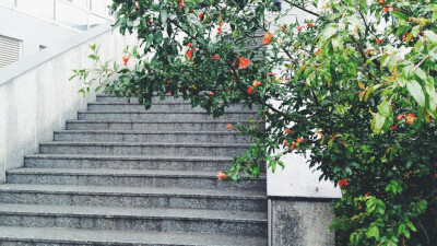 情像雨点/似断难断/愈是去想/更是凌乱
（下雨天翻出旧图）