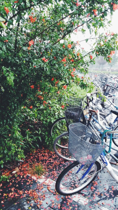 情像雨点/似断难断/愈是去想/更是凌乱
（下雨天翻出旧图）