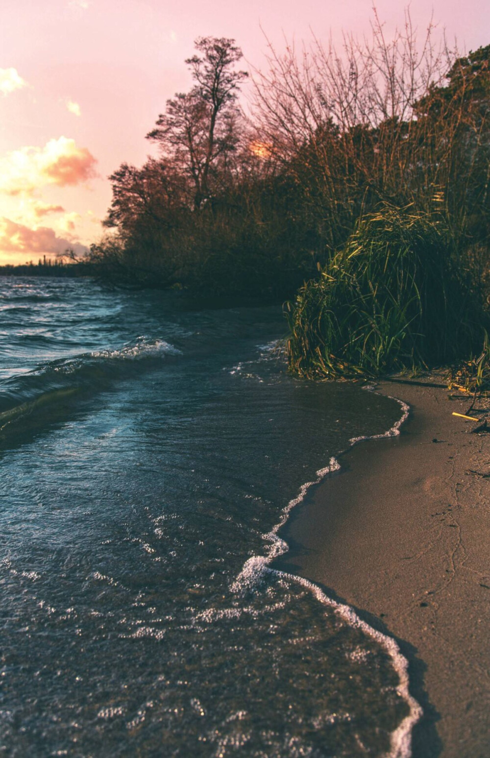 手机壁纸 海滩 夕阳 树木 摄影✨INNER LOVE✨