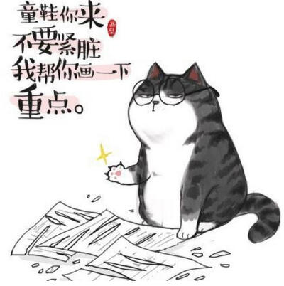 捕捉到傻猫一只