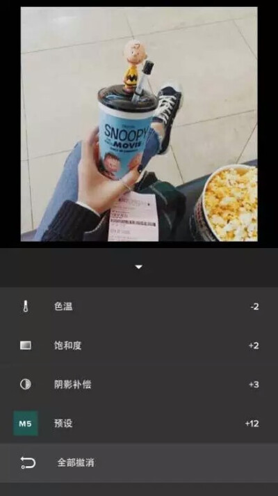 VSCO 日常生活 调色步骤：滤镜M5+12阴影补偿+3饱和度+2色温-2详见图