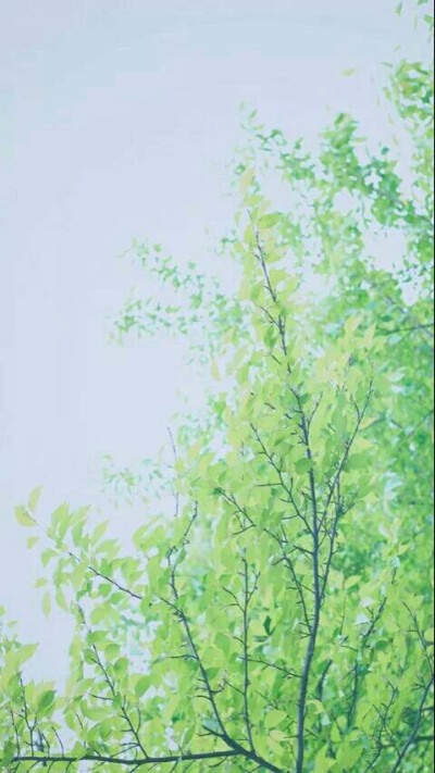 SUNNY