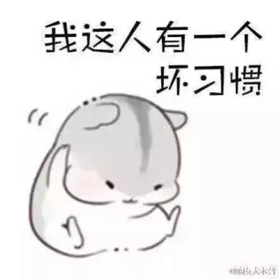 仓鼠球表情包系列习惯