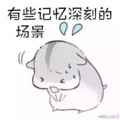 仓鼠球表情包系列习惯