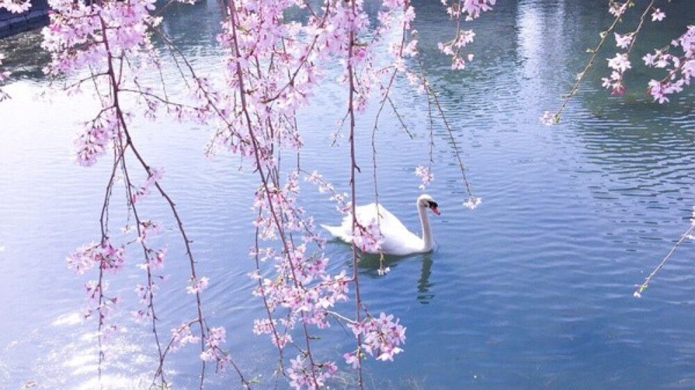 山川湖海