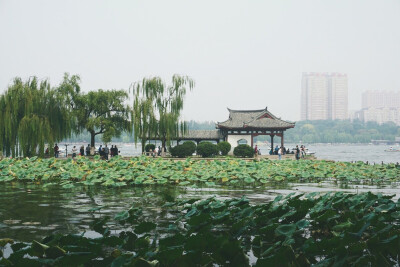 摄于大明湖。秋阴不散霜飞晚，留得枯荷听雨声。