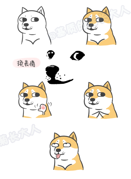 最后送上doge图一张~\(≧▽≦)/~说实话超喜欢哪里的！就是什么都好，价钱也贵，神仙，你有没有听到我的心碎了