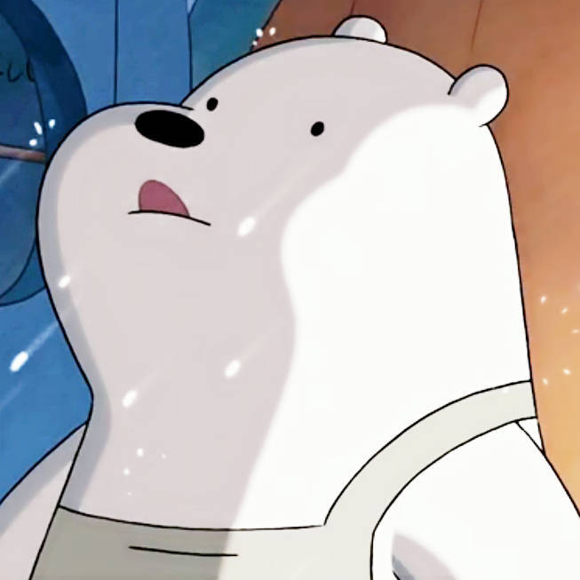 Ice bear