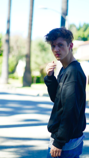 #Troye Sivan 戳爷
香草味的冰激凌蛋糕.