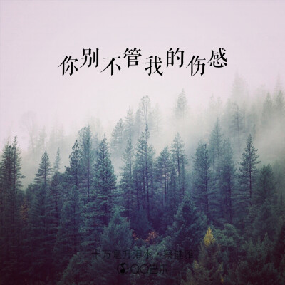 歌词海报――蔡健雅
十万毫升泪水