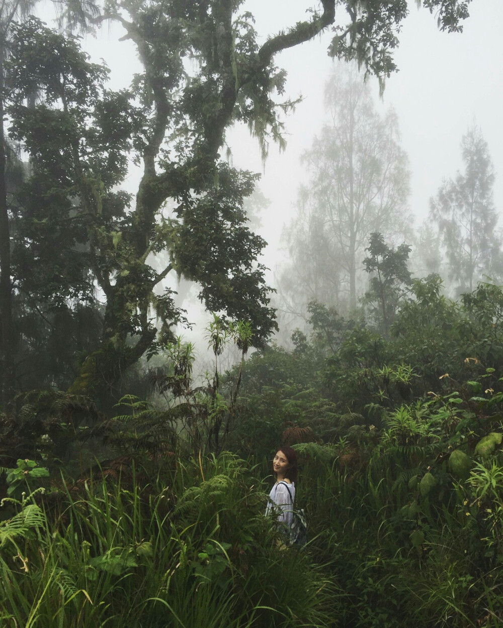 Trekking in Mountain Rinjani. Guess what I found in this deep deep forest?