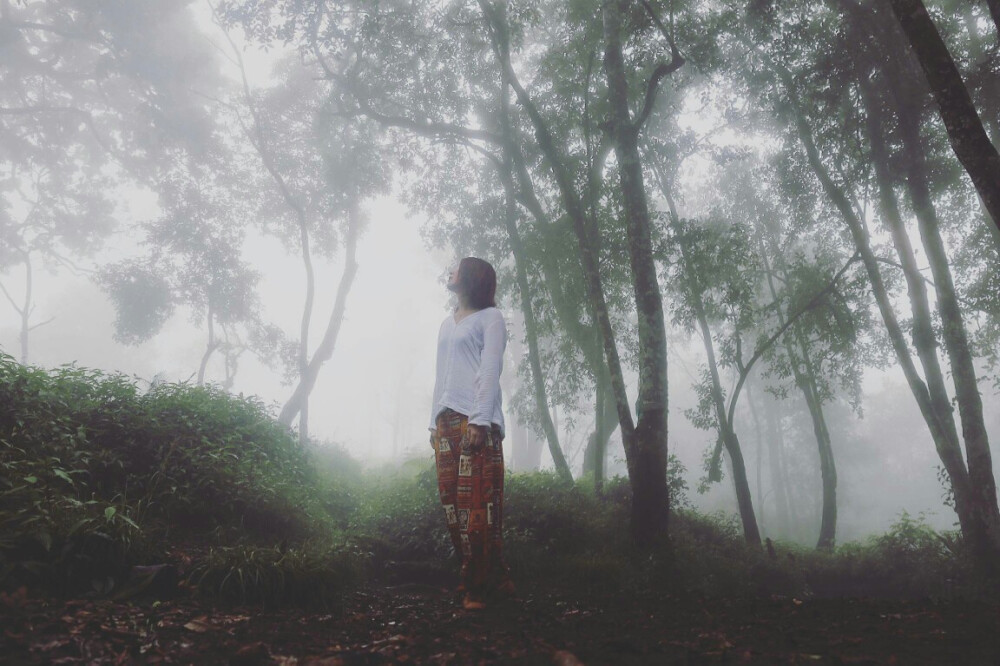 Trekking in Mountain Rinjani. Guess what I found in this deep deep forest?