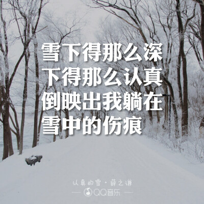 认真的雪•薛之谦