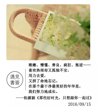 《那些好时光，只想和你一起过》
——9.15