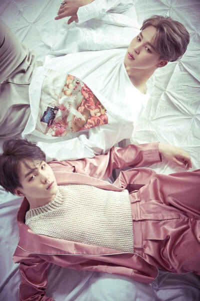 正规二辑 Wings Concept Photo JIMIN SUGA