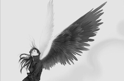 翅膀-梦幻