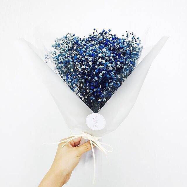 满天星的花语：甘愿做配角，只愿在你身边。但其实一样可以美到窒息！我更喜欢它枯萎后依然还是最初的样貌！她有个很美好的英文名字“Baby's breath”，美丽耀眼如漫天繁星～