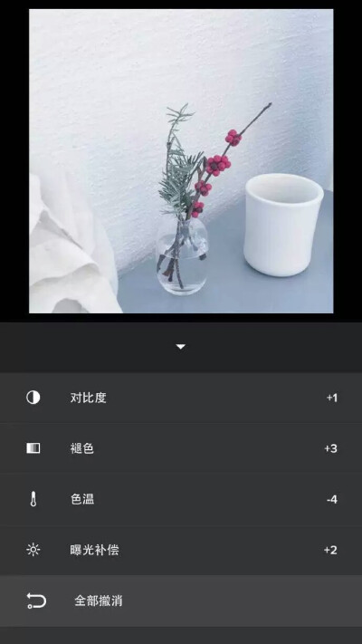 VSCO 简单冷色调色步骤：无滤镜曝光补偿+2色温-4褪色+3对比度+1