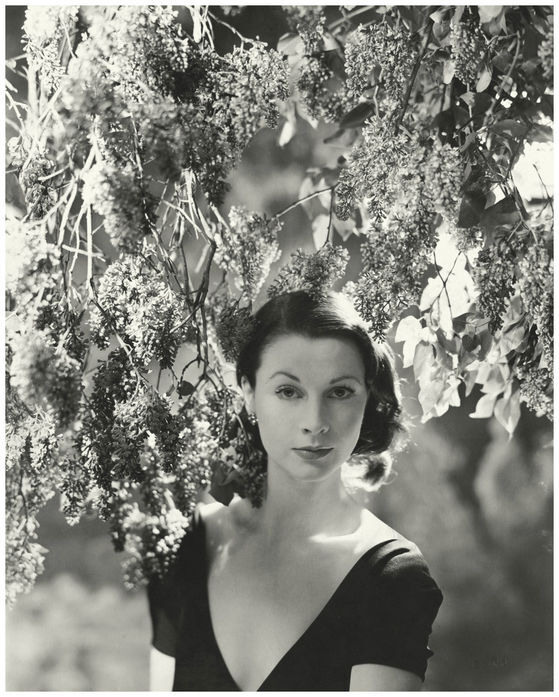 费雯·丽（Vivien Leigh），1913年11月5日出生于英属印度西孟加拉邦大吉岭，原名费雯·玛丽·哈特利，英国电影和舞台剧演员。《乱世佳人》《欲望号街车》《魂断蓝桥》《汉密尔顿夫人》