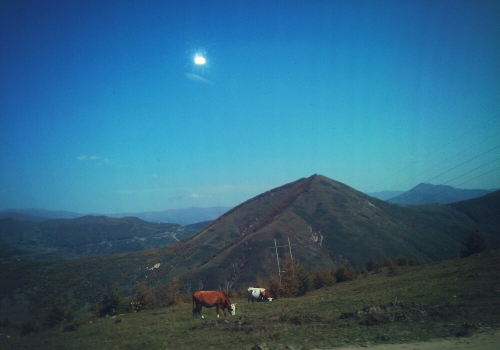 和光济月 青山牛羊