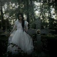 病女风愿你喜 关注三封情书.