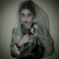 病女风愿你喜 关注三封情书.