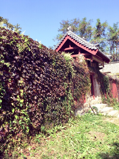 十月一 国内游 山东蒙山(๑•̀ㅁ•́๑)✧