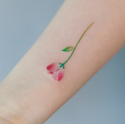 小清新花卉纹身手腕纹身小臂纹身