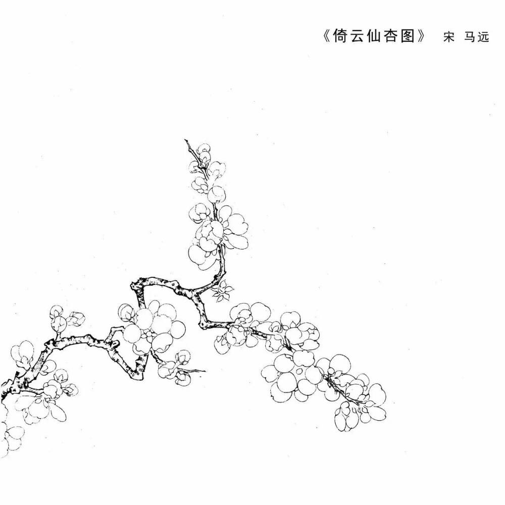 倚云仙杏图宋马远