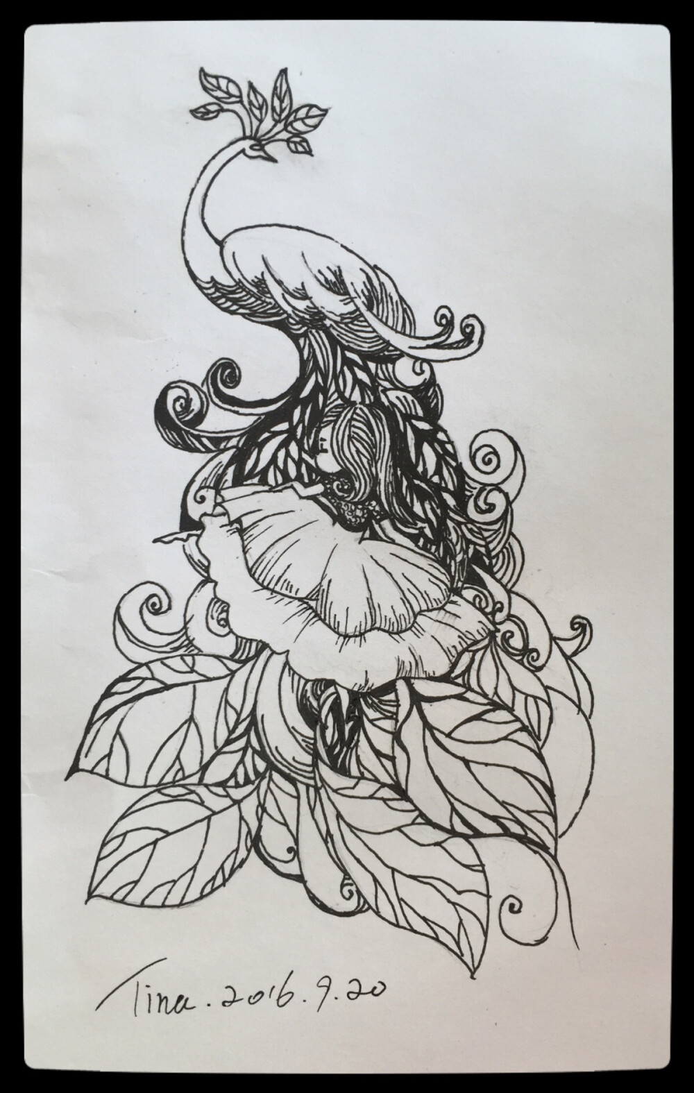 禅绕画孔雀和女孩