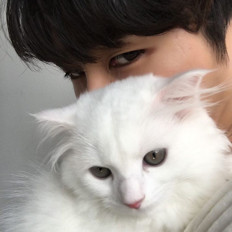 二呆辞男生头像